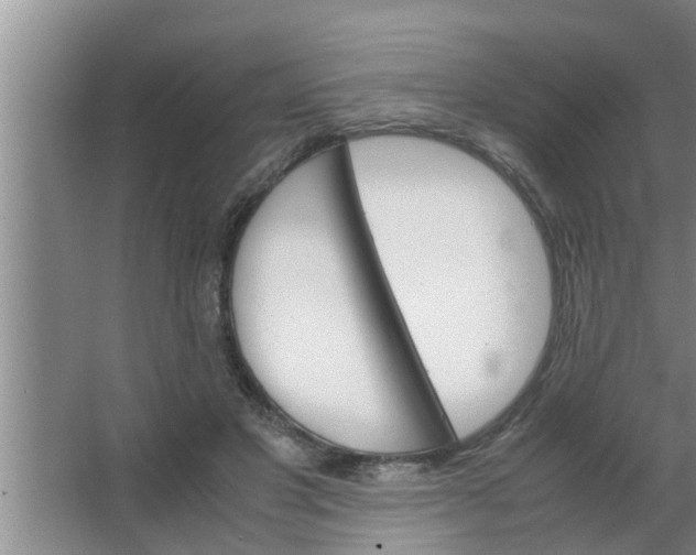 X0000063500501200602032021