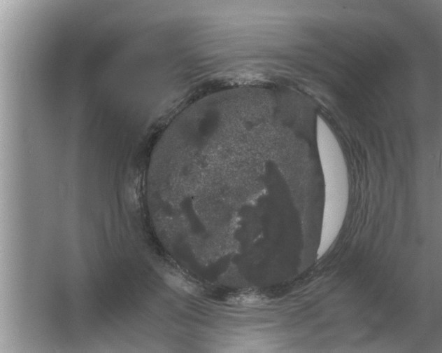 X0000063500503200602032021