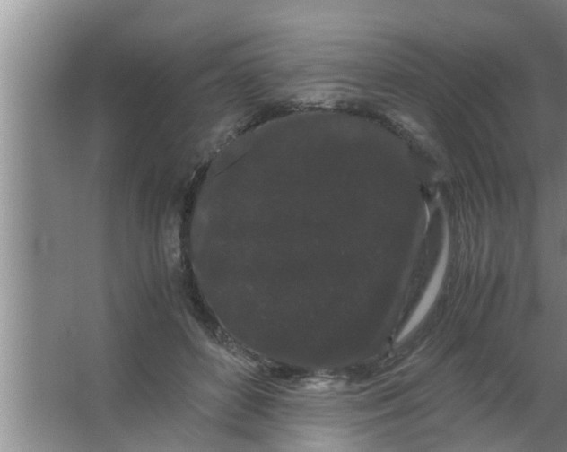 X0000063500504200602032021