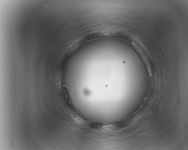 X0000063500505200602032021