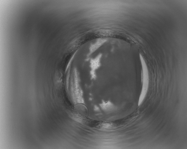 X0000063500507200602032021