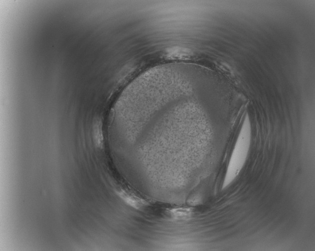 X0000063500508200602032021