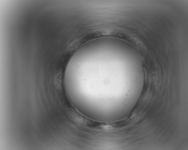 X0000063500509200602032021