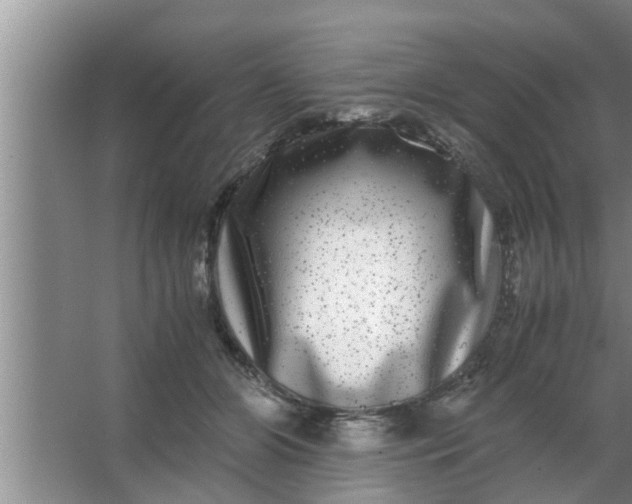 X0000063500510200602032021