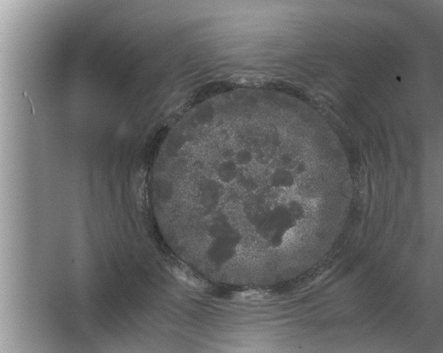 X0000063500511200602032021