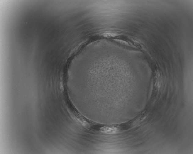 X0000063500512200602032021