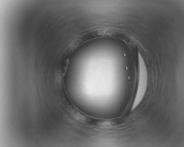 X0000063500513200602032021