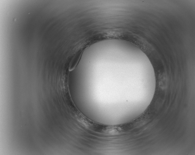 X0000063500514200602032021