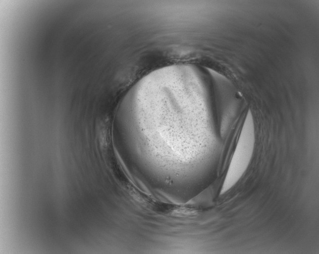 X0000063500515200602032021