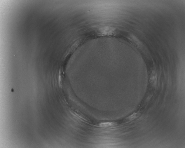 X0000063500516200602032021