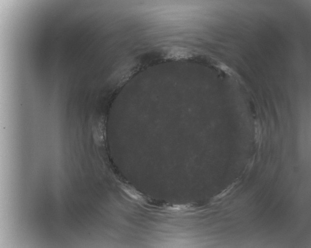 X0000063500517200602032021