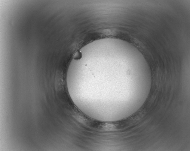 X0000063500518200602032021