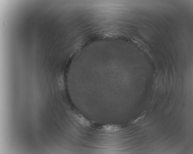 X0000063500520200602032021