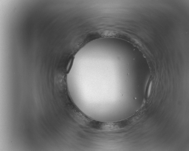 X0000063500521200602032021