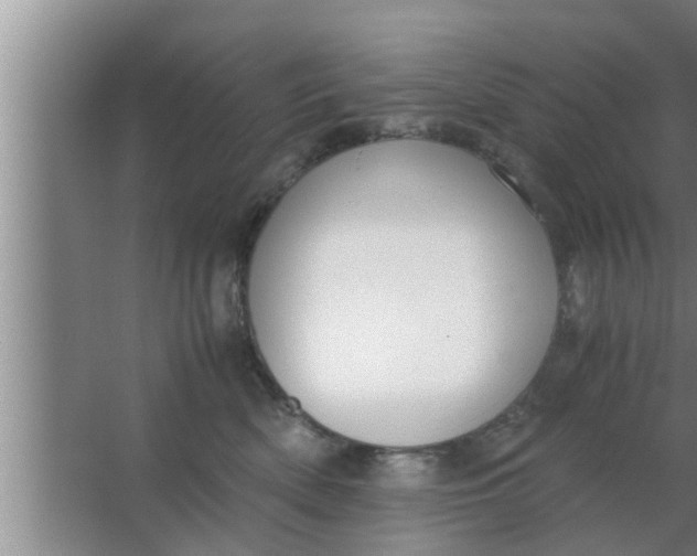 X0000063500522200602032021