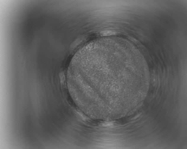 X0000063500523200602032021