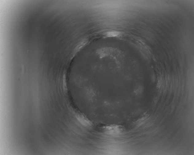 X0000063500524200602032021