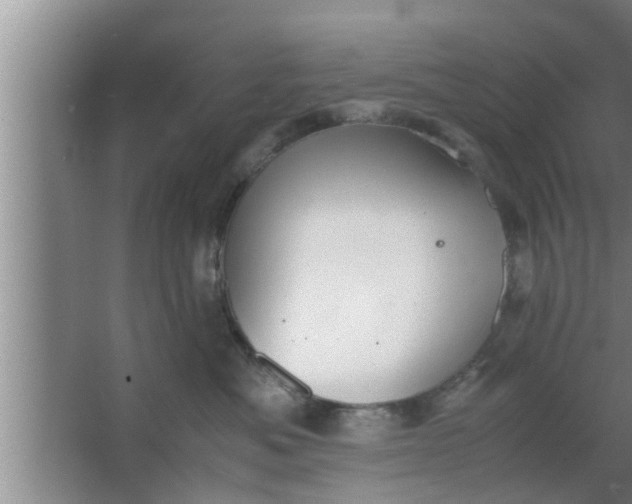 X0000063500525200602032021