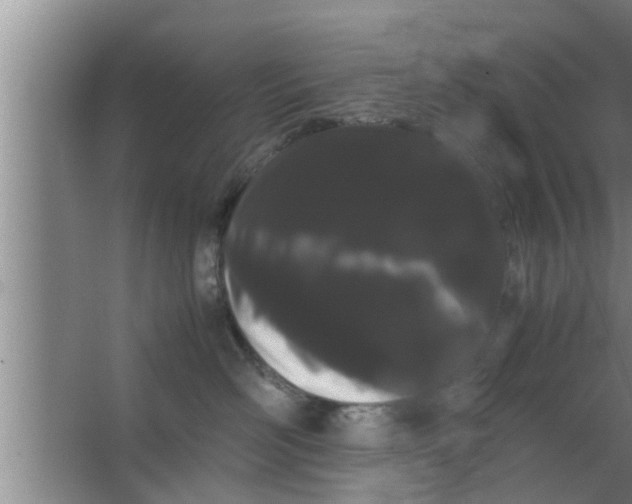 X0000063500526200602032021