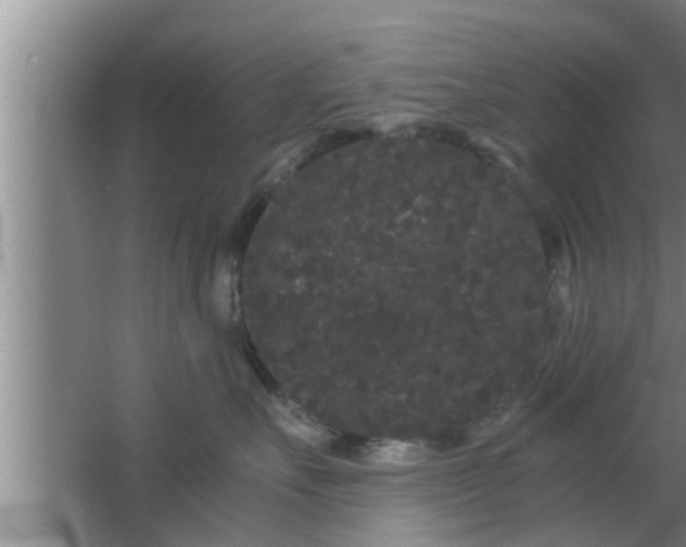 X0000063500527200602032021