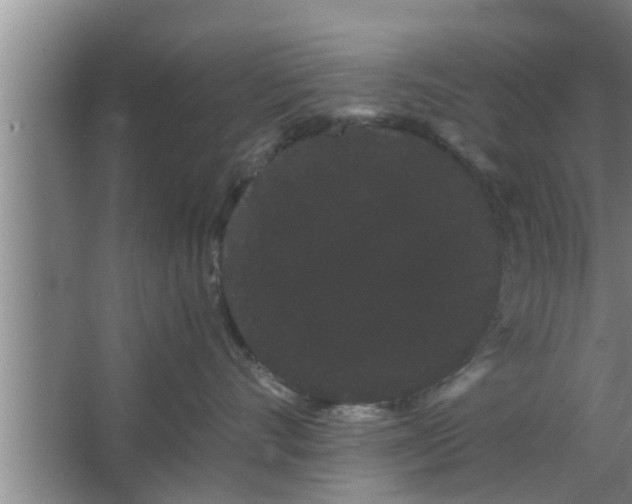 X0000063500528200602032021