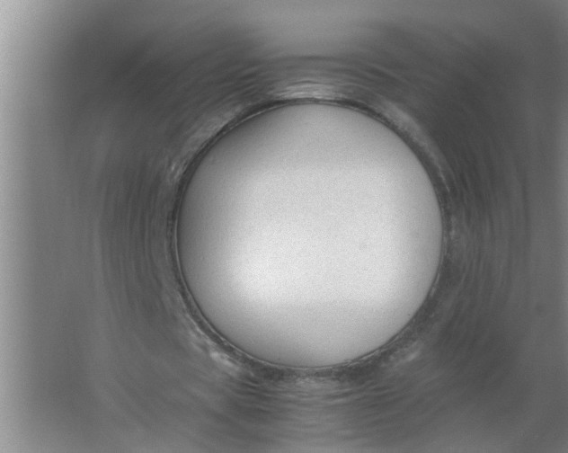 X0000063500529200602032020