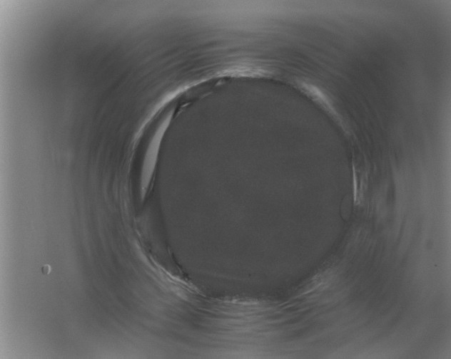 X0000063500531200602032020