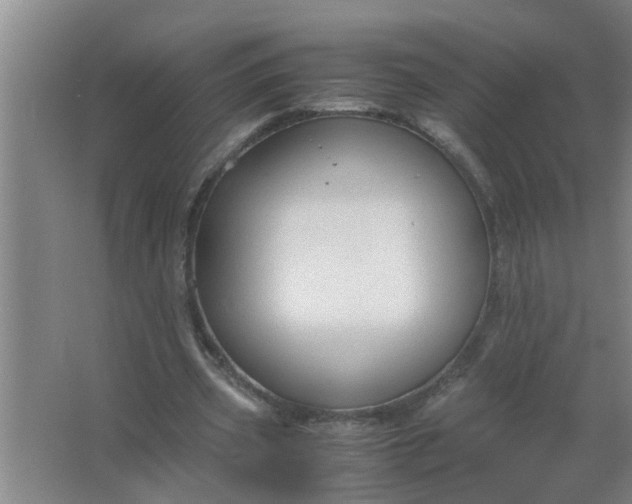 X0000063500533200602032020