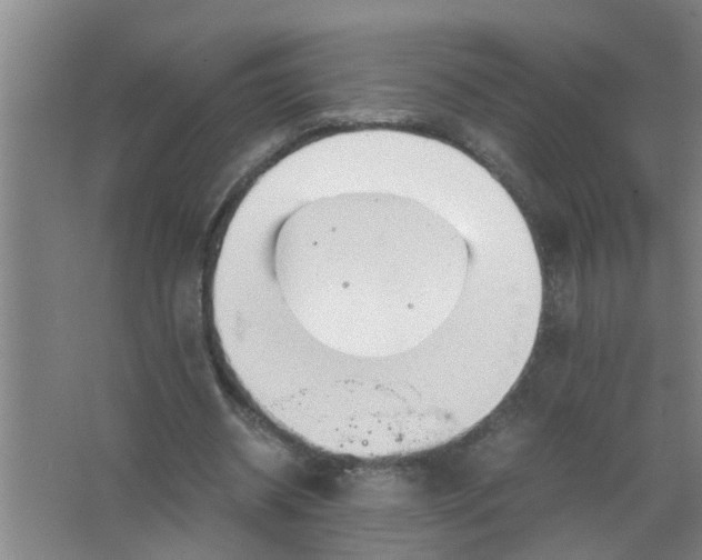 X0000063500534200602032020