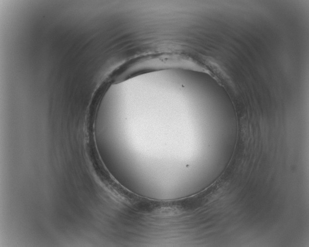 X0000063500536200602032020