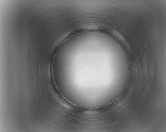 X0000063500537200602032020