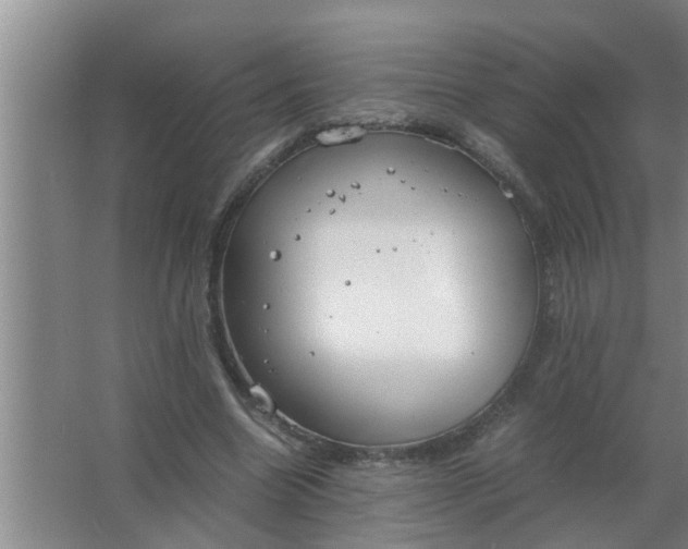 X0000063500538200602032020