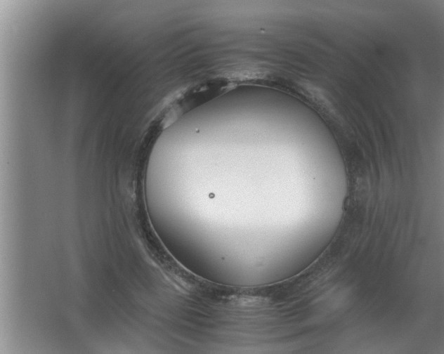 X0000063500539200602032020