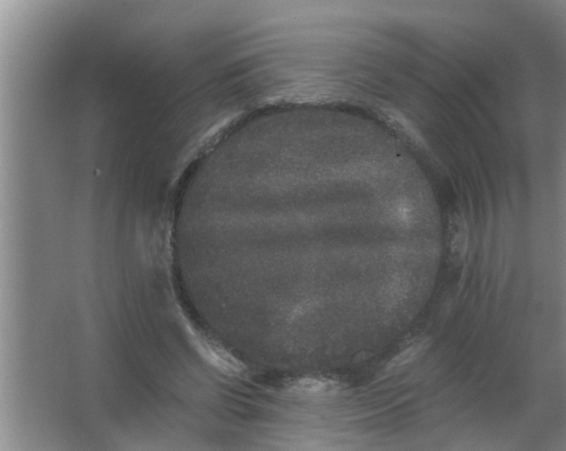 X0000063500542200602032020