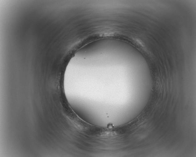 X0000063500543200602032020