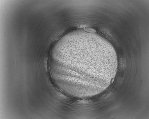 X0000063500545200602032020