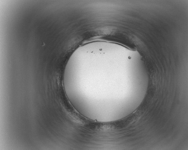 X0000063500546200602032020