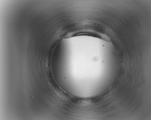 X0000063500548200602032020