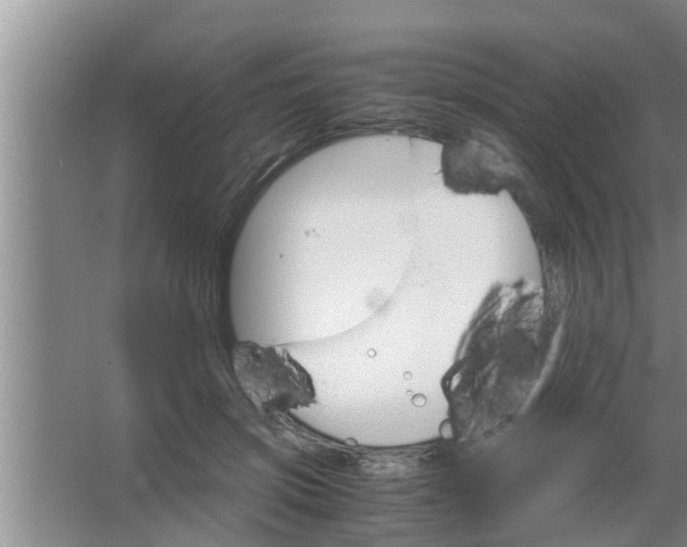 X0000063500549200602032020