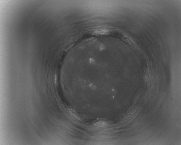 X0000063500551200602032020