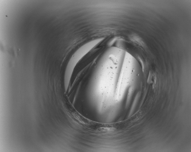 X0000063500552200602032020