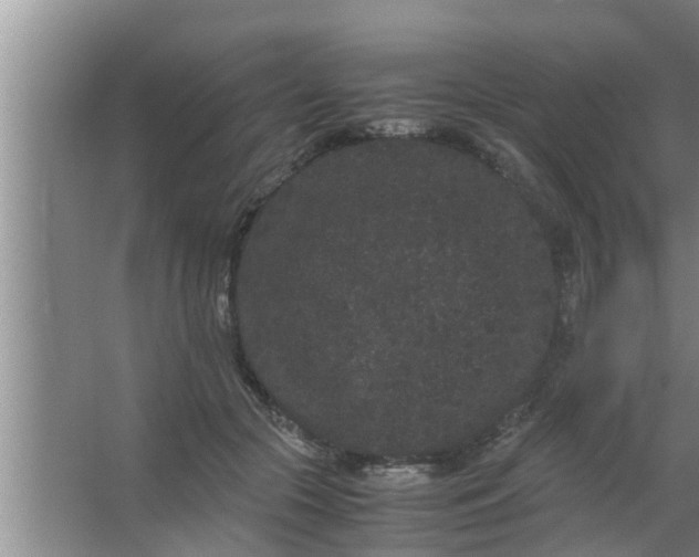 X0000063500553200602032020