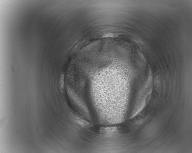 X0000063500554200602032020