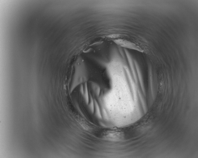 X0000063500555200602032020