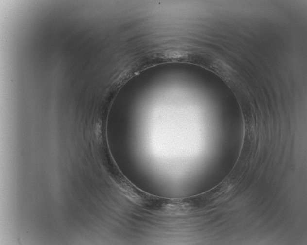 X0000063500556200602032020