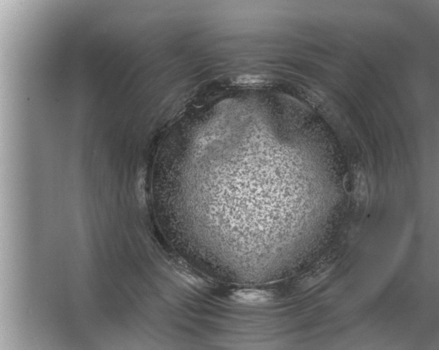 X0000063500557200602032020