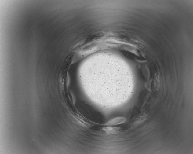 X0000063500558200602032020