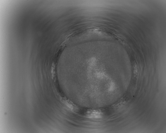 X0000063500559200602032020