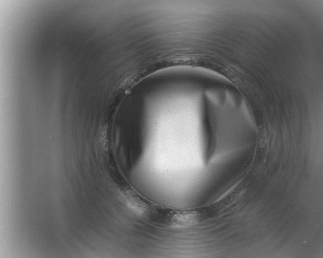 X0000063500560200602032020