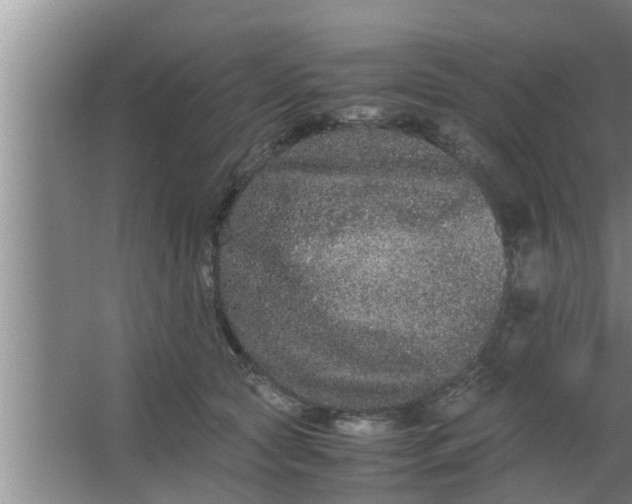 X0000063500561200602032020